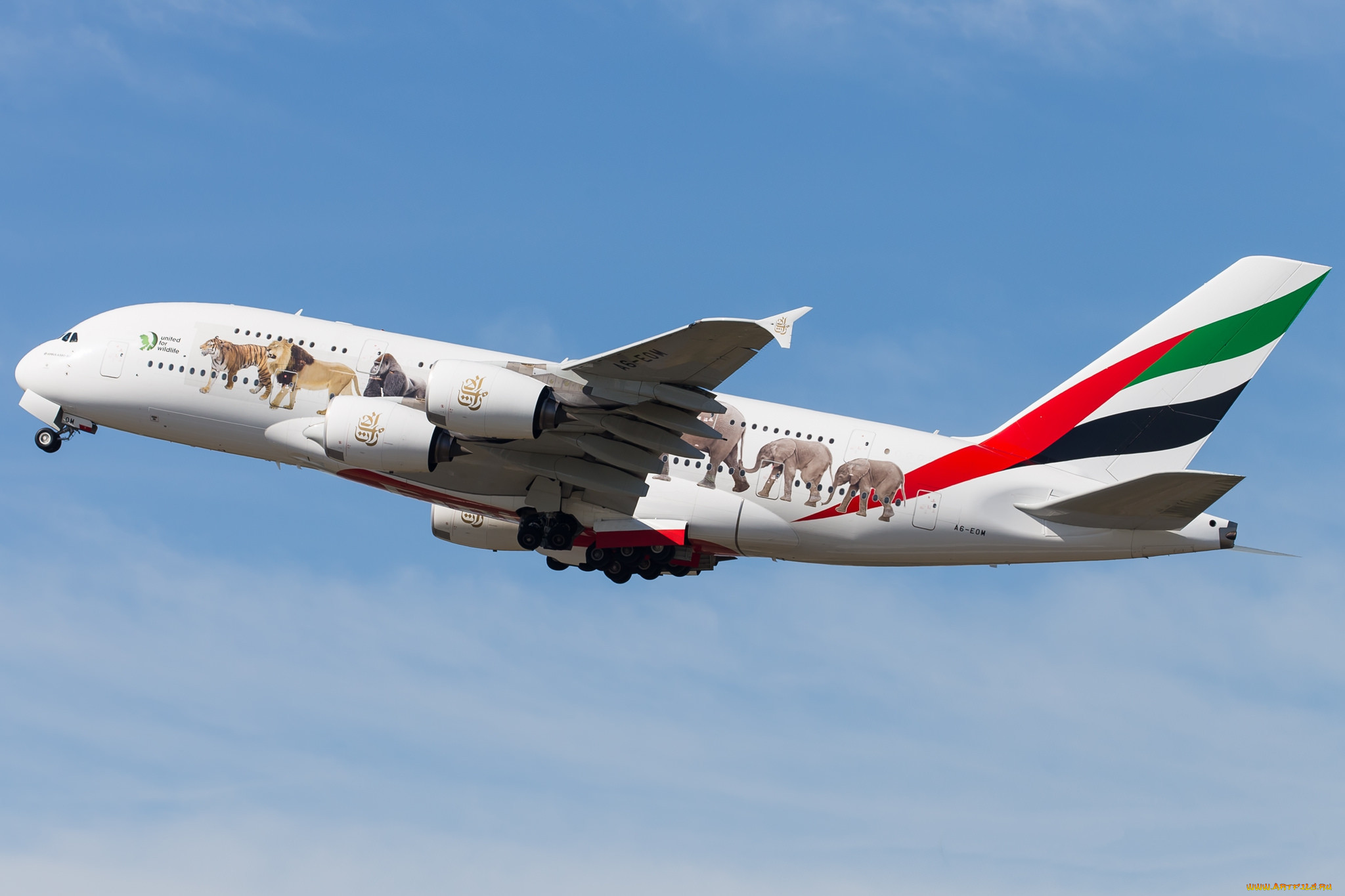 airbus a380 a6-eom, ,  , 